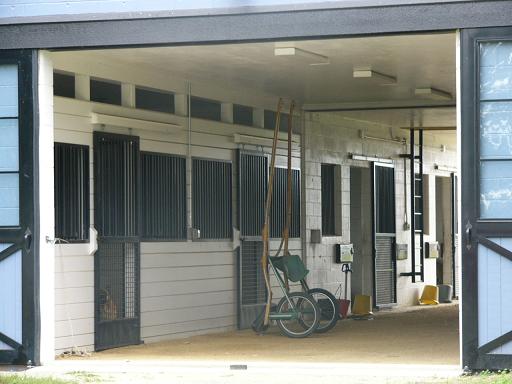 Horse_Industry/cab.JPG