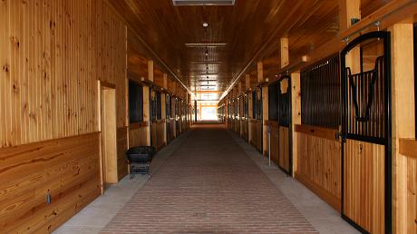 Horse_Industry/cab.JPG