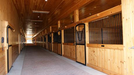 Horse_Industry/cab.JPG