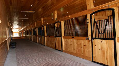 Horse_Industry/cab.JPG